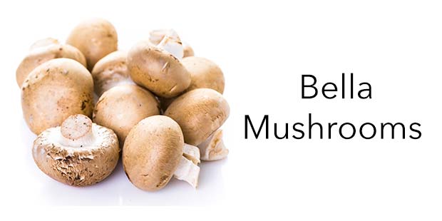 Bella Mushrooms